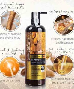 شامپو ضد ریزش و احیا کننده اورجینال حجم 900 میل